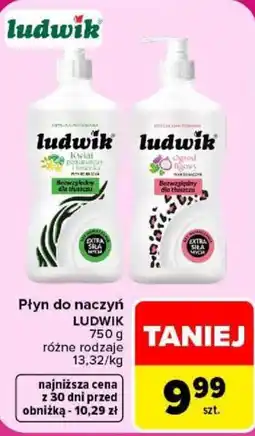Carrefour Płyn do naczyń LUDWIK oferta