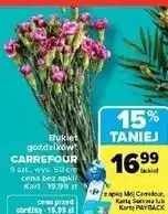 Carrefour Market Bukiet goździków CARREFOUR 9 szt., wys. 50 cm oferta