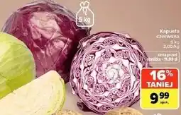 Carrefour Market Kapusta czerwona oferta