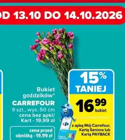 Carrefour Bukiet goździków wys. 50 cm Carrefour oferta