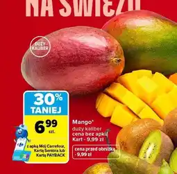 Carrefour Mango duży kaliber oferta