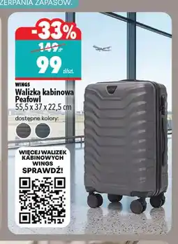 Biedronka Walizka kabinowa Peafowl 55,5x37x22,5 cm Wings oferta
