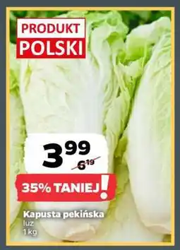 Netto Kapusta pekińska oferta
