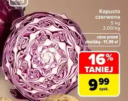 Carrefour Kapusta czerwona oferta