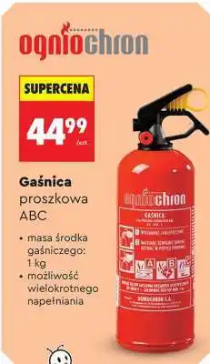 Biedronka Gaśnica proszkowa ABC oferta