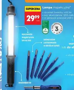 Biedronka Lampa inspekcyjna oferta