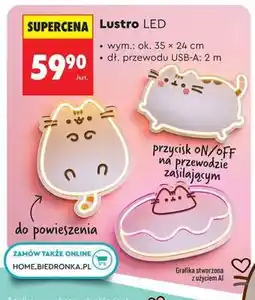 Biedronka Lustro LED oferta