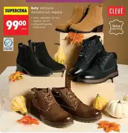 Biedronka Buty skórzane damskie lub męskie oferta