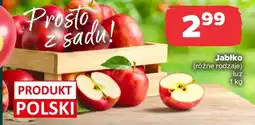 Netto Jabłko oferta