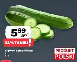 Netto Ogórek szklarniowy oferta