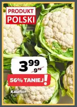 Netto Kalafior oferta
