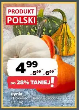Netto Dynia oferta
