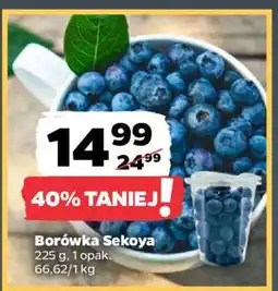 Netto Borówka Sekoya oferta