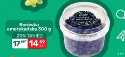 Biedronka Borówka amerykańska 300 g oferta