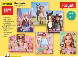 Biedronka Książeczka kreatywna oferta