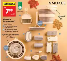 Biedronka Akcesoria do sprzątania oferta