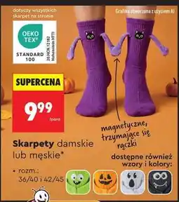 Biedronka Skarpety damskie lub męskie oferta