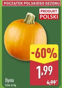 ALDI Dynia oferta