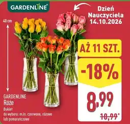 ALDI GARDENLINE Róże Bukiet oferta
