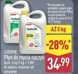 ALDI Płyn do mycia naczyń oferta