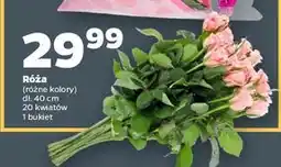 Netto Róża bukiet oferta
