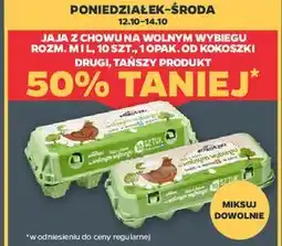 Netto Jaja z chowu na wolnym wybiegu Kokoszki oferta