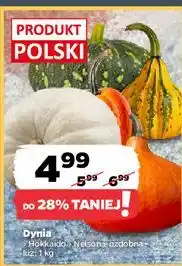 Netto Dynia oferta