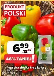 Netto Papryka słodka trzy kolory oferta