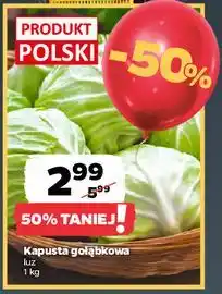 Netto Kapusta gołąbkowa luz oferta