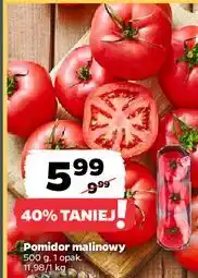 Netto Pomidor malinowy oferta