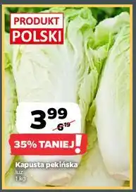 Netto Kapusta pekińska luz oferta