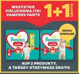 Netto Wszystkie pieluchomajtki Pampers Pants oferta