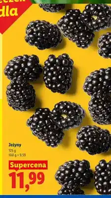 Lidl Jeżyny oferta