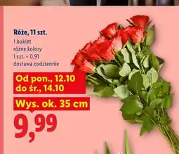 Lidl Róże 11 szt oferta