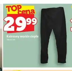 Topaz Kalesony męskie ciepłe oferta