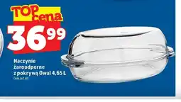 Topaz Naczynie żaroodporne z pokrywą Owal oferta