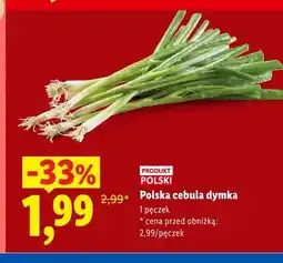Lidl Cebula dymka polska oferta