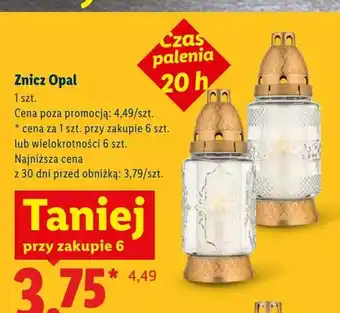 Lidl Znicz Opal oferta