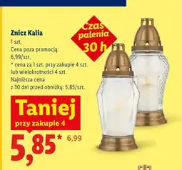 Lidl Znicz Kalia oferta