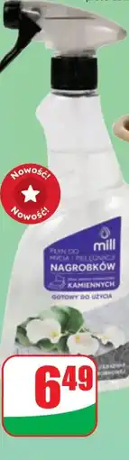 Dino Płyn do mycia i pielęgnacji nagrobków Mill oferta