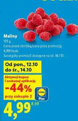 Lidl Maliny oferta