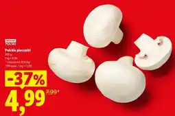 Lidl Polskie pieczarki oferta