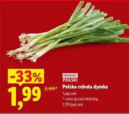 Lidl Polska cebula dymka oferta