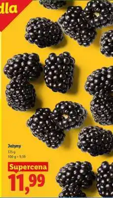 Lidl Jeżyny oferta