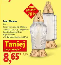 Lidl Znicz Flamma oferta