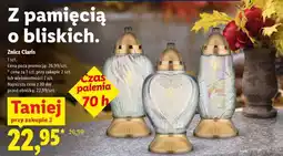 Lidl Znicz Claris oferta