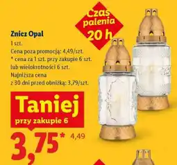 Lidl Znicz Opal oferta