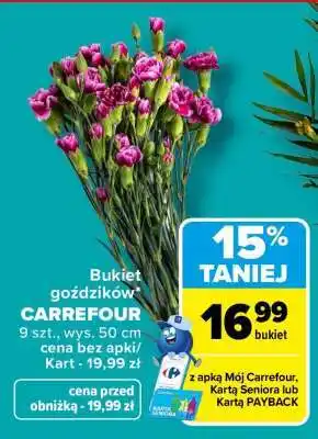 Bukiet goździków CARREFOUR