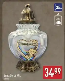 ALDI Znicz Serce XXL oferta