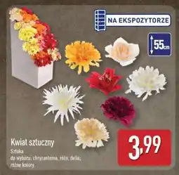 ALDI Kwiat sztuczny oferta